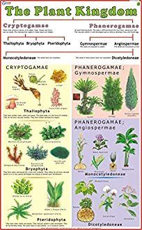 HOSPITAL EXAMINATION TABLE